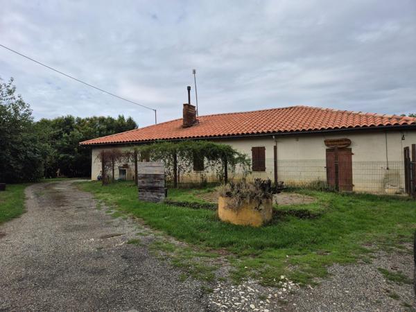 Ferme à rénover avec fort potentiel