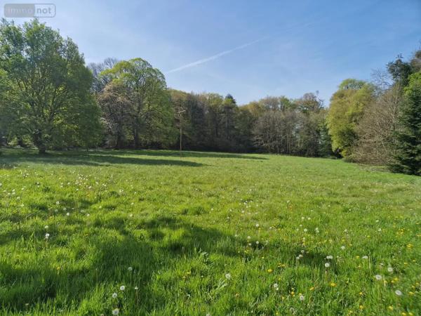 Achat - Maison Josselin 56120 10 pièces 500 m 2 31683 m 2