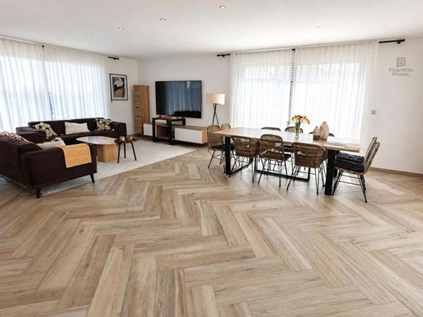 CHÂTEAUROUX, LA MARGOTIÈRE, Maison contemporaine de plain-pied, 5 chambres, bureau, piscine, DPE A