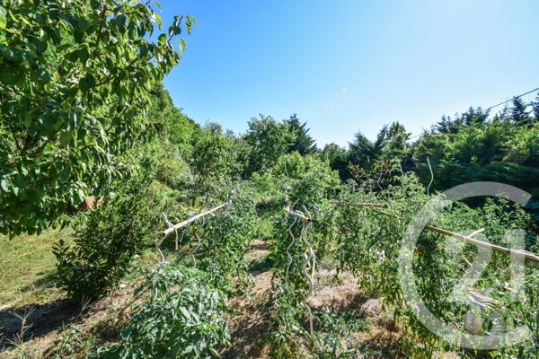 Maison à vendre  5 pièces - 301,95 m2 JASSANS RIOTTIER - 01