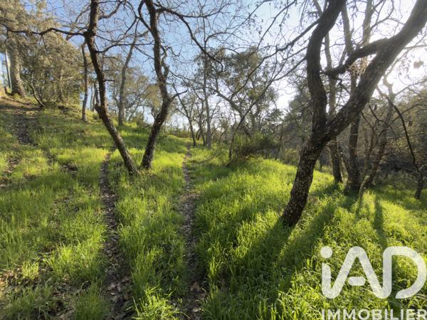 Terrain à vendre 13 927 m² Bagnols-en-Forêt