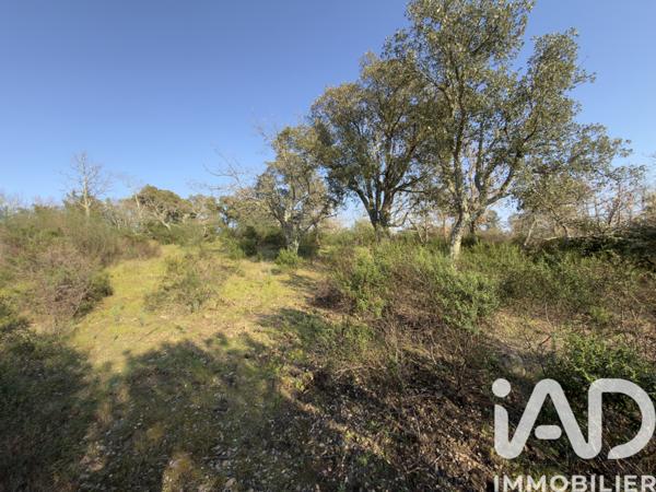 Terrain à vendre 13 927 m² Bagnols-en-Forêt