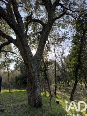 Terrain à vendre 13 927 m² Bagnols-en-Forêt