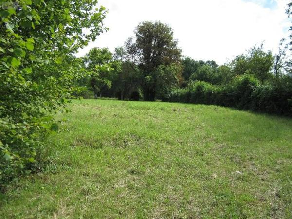 Achat - Terrain à bâtir Ligny-en-Barrois 55500 1130 m 2