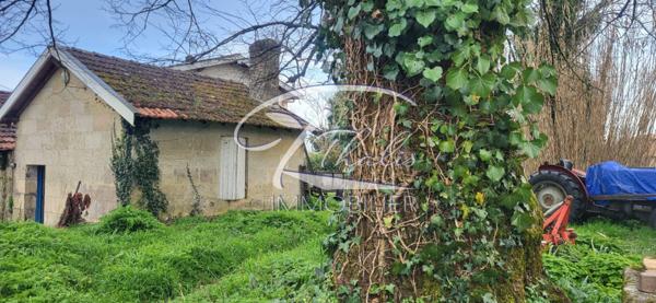 TERRAIN PRIGNAC ET MARCAMPS