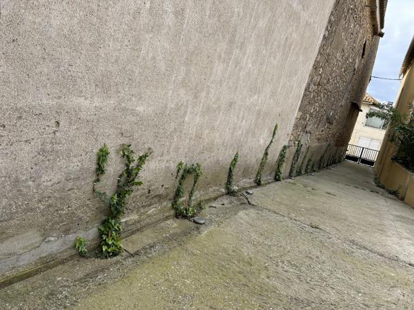 Maison 4 pièces - 107 m²