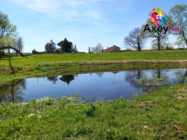 Mably (42300) A VENDRE - SECTEUR MABLY - BELLE MAISON RÉNOVÉE AVEC QUATRE CHAMBRES, GRAND TERRAIN, ÉTANG ET PISCINE