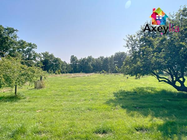 Mably (42300) A VENDRE - SECTEUR MABLY - BELLE MAISON RÉNOVÉE AVEC QUATRE CHAMBRES, GRAND TERRAIN, ÉTANG ET PISCINE