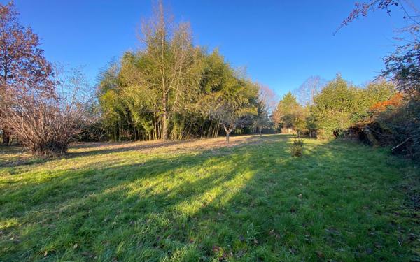 Maison à vendre    4 pièces •  Montauban