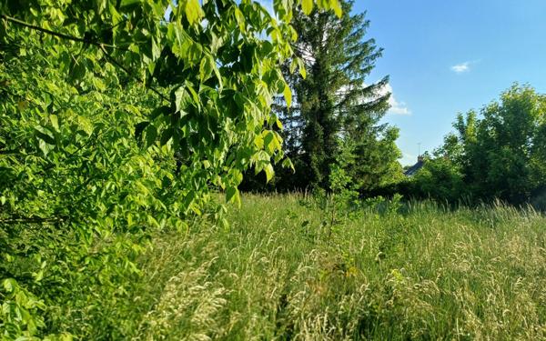 Terrain à vendre    Dordives