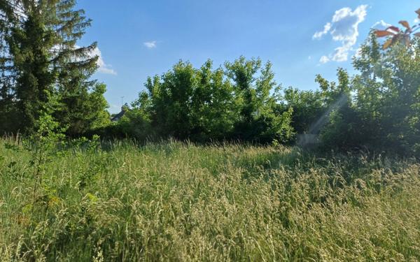 Terrain à vendre    Dordives