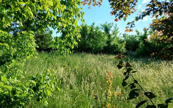 Terrain à vendre    Dordives