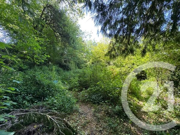 Maison à vendre  3 pièces - 74,29 m 2   CORANCY  - 58