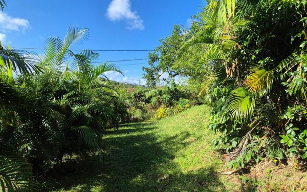 Terrain à vendre    Ducos