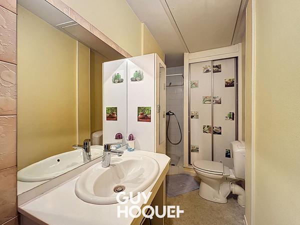 Charmante Maison à vendre de 3 Chambres, Possibilité logement indépendant, Dépendances - 71570 LA CHAPELLE DE GUINCHAY