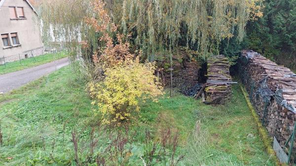 Maison Passavant La Rochere 5 pièce(s) 60 m2 jardin