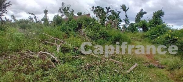 Terrain agricole à vendre de 167 518,00 m² COMBANI (976)