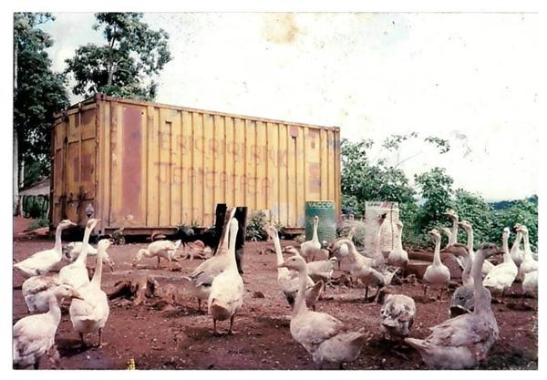 Terrain agricole à vendre de 167 518,00 m² COMBANI (976)