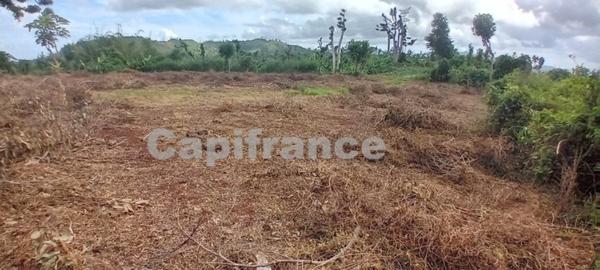 Terrain agricole à vendre de 167 518,00 m² COMBANI (976)