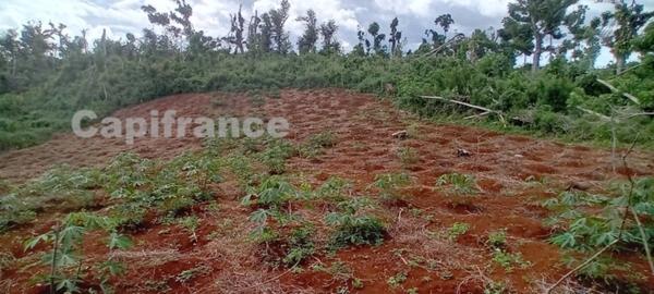 Terrain agricole à vendre de 167 518,00 m² COMBANI (976)