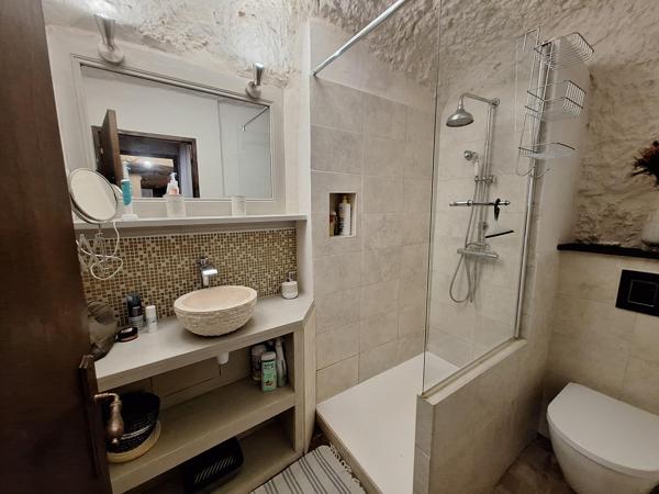 Vente / Maison avec dépendance