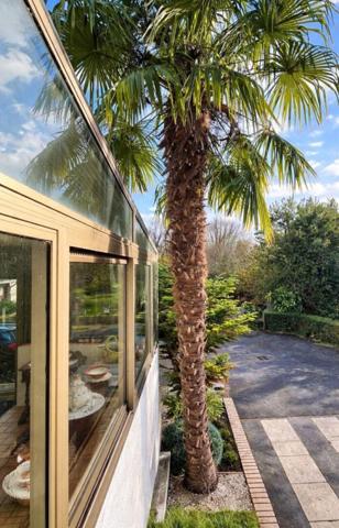 Maison : 6 pièce(s) 120 m²  + Véranda 26m²