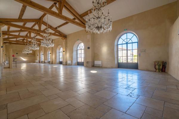 Vente Château Carcassonne 15 Pièces 1117 m²