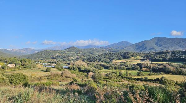 PROCHE AJACCIO Bastelicaccia Terrain viabilisé Bastelicaccia (20129)