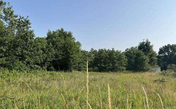 Terrain à vendre |  Casteljaloux |  3030 m²