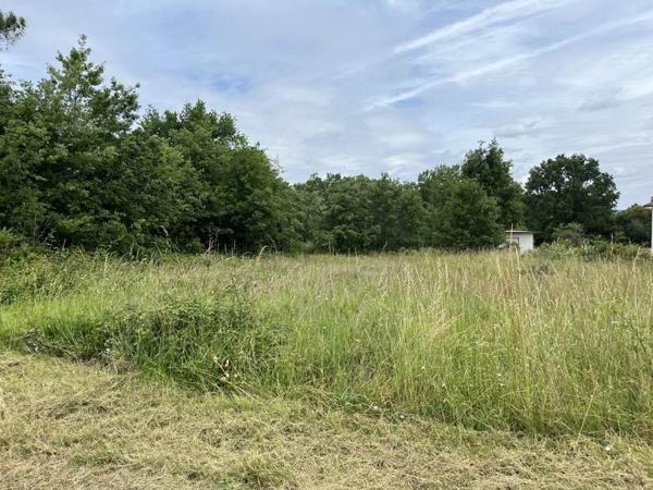 Terrain à vendre |  Casteljaloux |  3030 m²