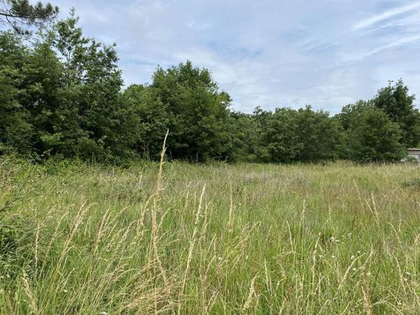 Terrain à vendre |  Casteljaloux |  3030 m²