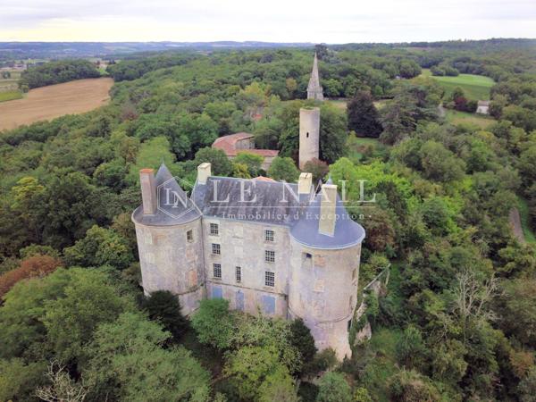 Château du XIIIe siècle, Monument Historique, à restaurer dans le Lot-et-Garonne