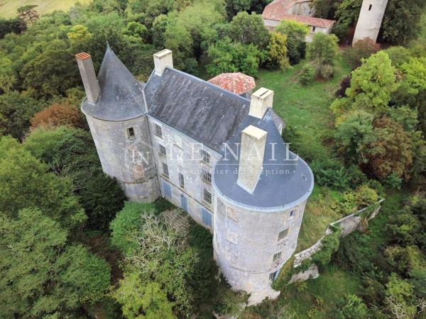 Château du XIIIe siècle, Monument Historique, à restaurer dans le Lot-et-Garonne