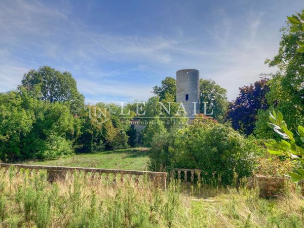 Château du XIIIe siècle, Monument Historique, à restaurer dans le Lot-et-Garonne