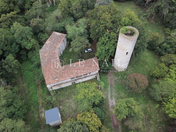 Château du XIIIe siècle, Monument Historique, à restaurer dans le Lot-et-Garonne