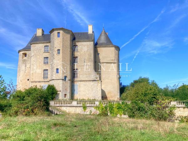 Château du XIIIe siècle, Monument Historique, à restaurer dans le Lot-et-Garonne