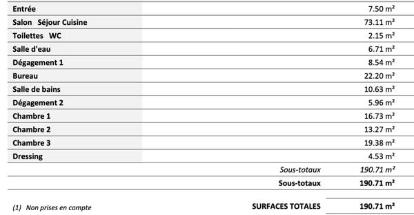 Saintes (17100) Rare Saintes Centre-Ville : Appartement 6 pièces traversant en dernier étage avec deux balcons