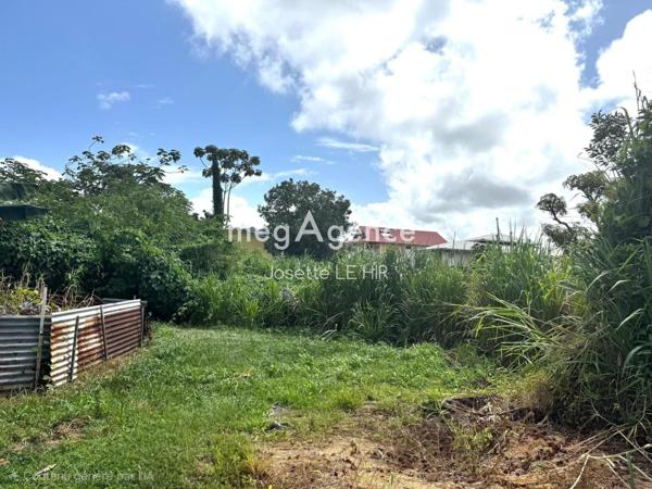 Terrain à CAYENNE, 97300 - 1977m²