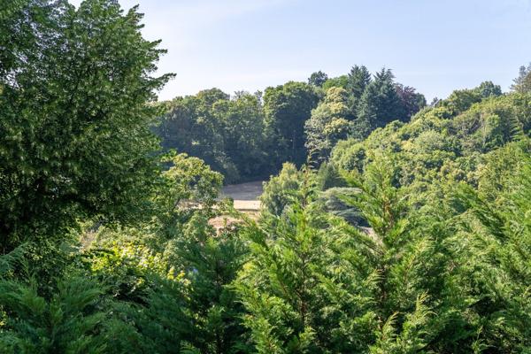 Vente Maison d'architecte Mont-Saint-Aignan 5 Pièces 190 m²