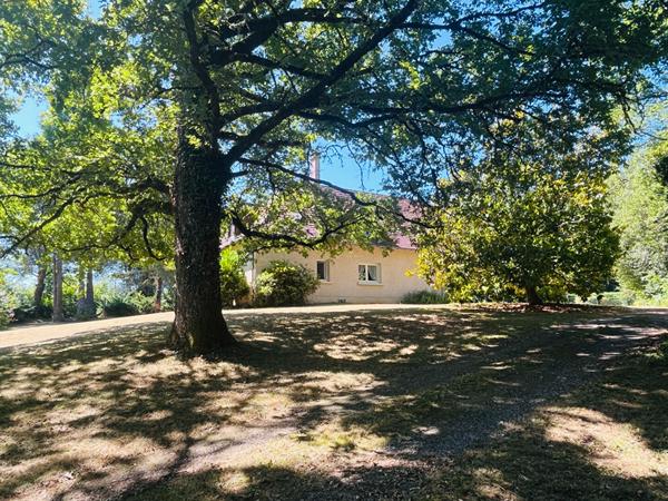 À vendre Belle maison familiale de 213 m² avec parc de plus de 5 000 m² Chamboulive (19)