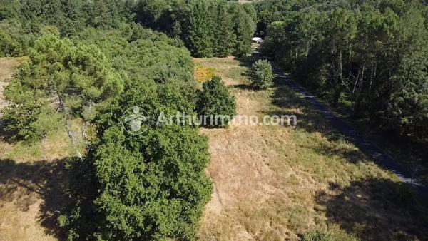 Vente Terrain 3390 m2 à Neuvic