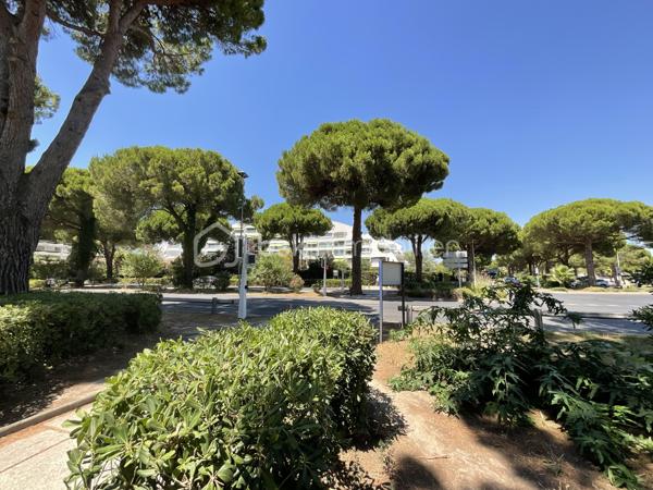 Entre pinède et Méditerranée, choisissez bien plus qu'un appartement : choisissez un art de vivre.
Il y a des résidences que l'on choisit pour leur emplacement. Fleurie 1 en fait partie.

Nichée entre la pinède et la mer, au cœur du quartier recherché de la Petite Motte, cette résidence offre un environnement privilégié où la nature accompagne le quotidien. En quelques minutes à pied, vous rejoignez la plage du Couchant, tandis que les allées ombragées de la pinède invitent aux promenades, au footing, aux balades à vélo ou tout simplement à la lecture, installé sous les pins dans l'un des deux parcs voisins.
Ici, tout est pensé pour profiter d'une vie simple et agréable : Super U, boulangerie, pharmacie, cabinet infirmier, commerces de proximité, écoles, équipements sportifs et transports sont accessibles à pied. Plus besoin de prendre la voiture pour les gestes du quotidien.
Contrairement à certaines résidences essentiellement occupées en période estivale, Fleurie 1 est une résidence qui vit toute l'année. Une partie importante des copropriétaires y réside en permanence, créant une atmosphère conviviale, rassurante et agréable à vivre en toute saison.
La résidence dispose d'une piscine ouverte du 1er mai au 30 Sept, d'un ascenseur monte-charges très pratique pour les courses, les bagages ou les travaux d'aménagement, d'espaces verts entretenus et d'un parking privatif.
L'appartement développe environ 32 m² et comprend une chambre indépendante, une cabine, un séjour lumineux ouvrant sur une loggia, une cuisine, une salle d'eau, des WC séparés ainsi qu'une place de parking privative.
Fonctionnel en l'état, il offre surtout l'opportunité de créer un intérieur à votre image. Une projection d'aménagement peut vous être proposée afin de vous aider à révéler tout son potentiel.

Les appartements se rénovent. Un emplacement comme celui-ci, entre pinède et Méditerranée, reste un privilège durable.
Les propriétaires restent à l'écoute de toute proposition sérieuse.
Ici, vous n'achetez pas seulement un appartement. Vous choisissez un environnement où la mer, la nature et la convivialité se vivent au quotidien.
Un intérieur se transforme. Une belle adresse se choisit !