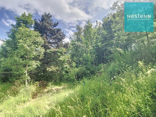 Terrain Soleymieux 2157 m² - arboré et en pleine campagne - construction libre