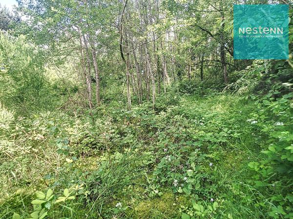 Terrain Soleymieux 2157 m² - arboré et en pleine campagne - construction libre