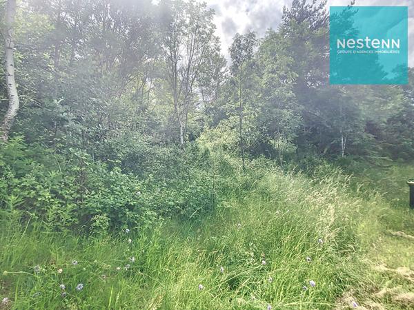 Terrain Soleymieux 2157 m² - arboré et en pleine campagne - construction libre