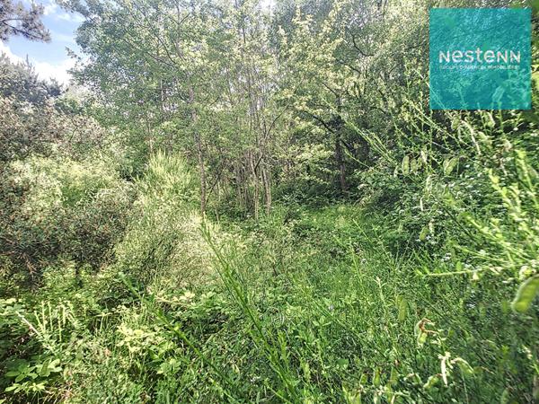 Terrain Soleymieux 2157 m² - arboré et en pleine campagne - construction libre