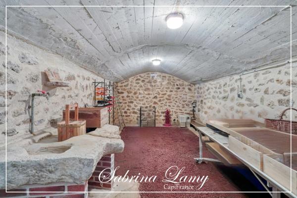 ✨ À Vendre : Élégante Propriété de Prestige en Pierre Meulière - 214 m² sur 2508 m² de Terrain - 5 chambres✨