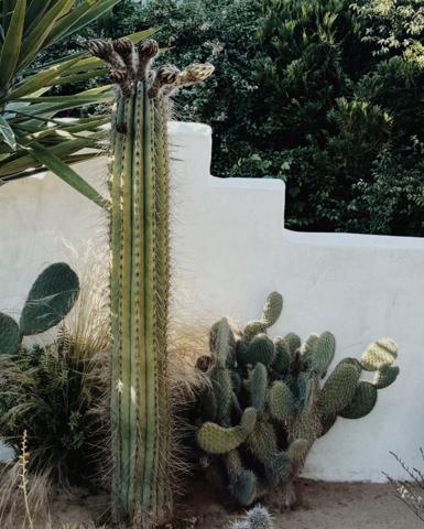 Biarritz (64200) VILLA SANTORIN