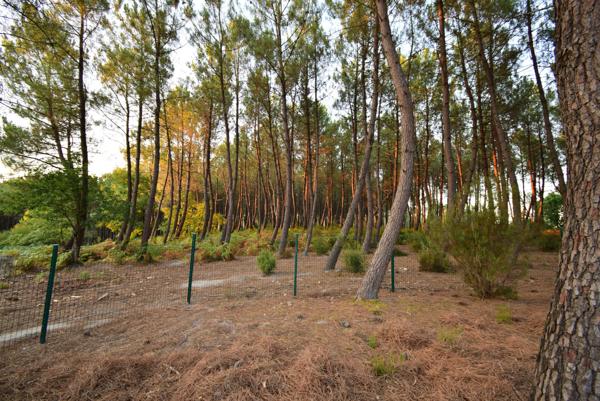 Pavillon de chasse de 600m² avec salle de réception de 218m²