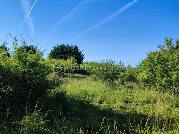 Charmant terrain non constructible, accessible par un chemin privé niché sur 5088 m². Offrant une vue dégagée sur campagne environnante dans un hameau, le lieu est planté d’arbres fruitiers et bénéficie d’un environnement calme et préservé. Idéal pour jardinage, verger, loisirs de plein air ou projet agricole.
Caractéristiques principales :
- Statut : non constructible
- Accès : chemin privé carrossable
- Exposition : Sud 
- Eau/électricité : pas de raccordement
- Végétation : Arbres fruitiers
- Environnement : calme, vue panoramique sur la campagne.